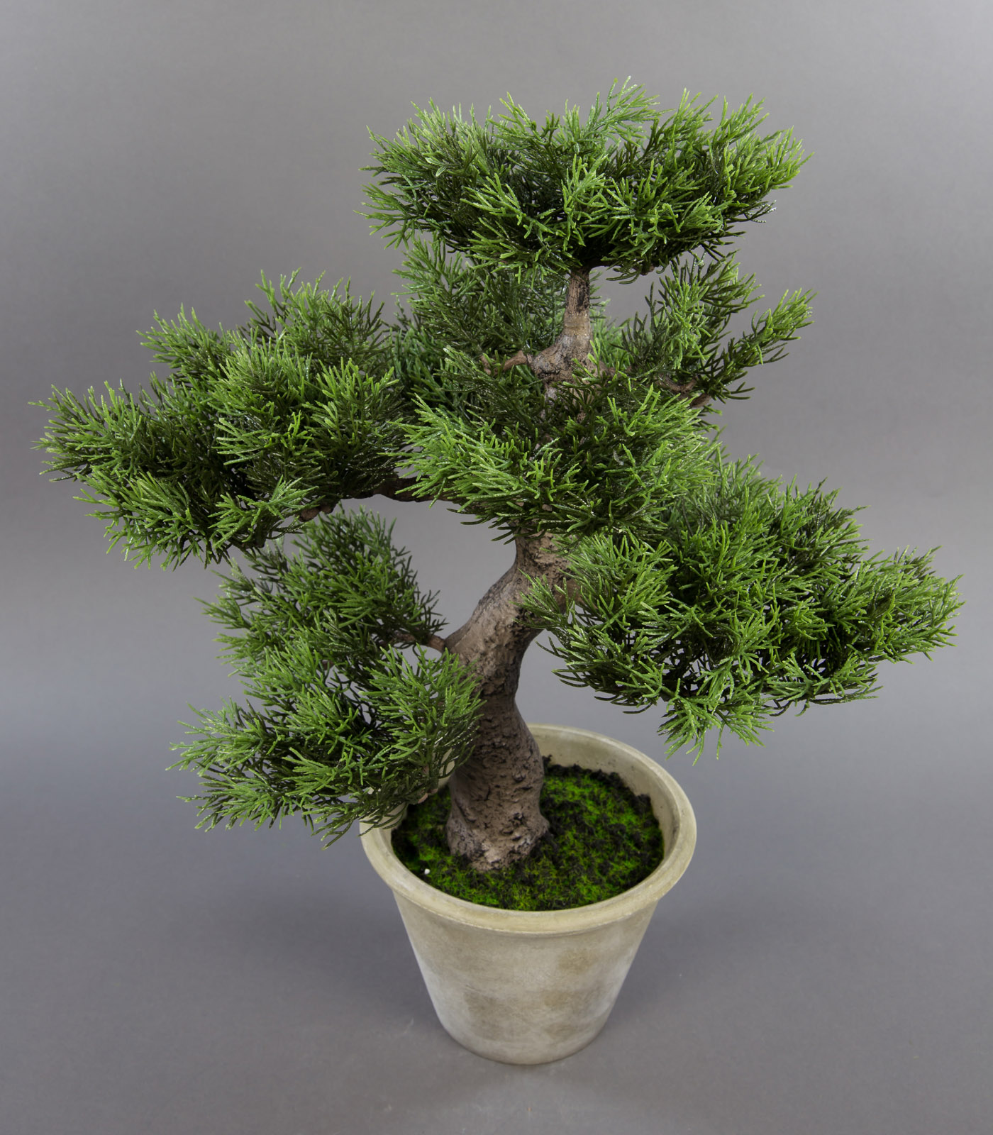 Bonsai Zeder 48x32cm im Dekotopf GA Kunstpflanzen künstlicher Baum